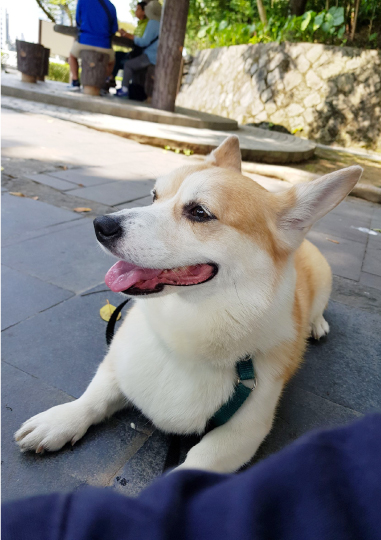 默默