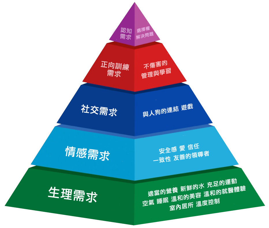 狗狗需求金字塔